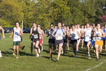 2008-10-10_17-30-43.jpg