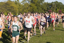 2008-10-10_17-30-46.jpg