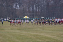 2008-11-15_11-45-53.jpg