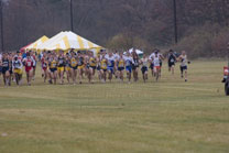 2008-11-15_11-46-02.jpg