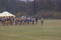 2008-11-15_11-46-04.jpg