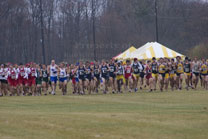 2008-11-15_11-46-05.jpg
