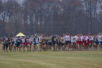 2008-11-15_11-46-06.jpg