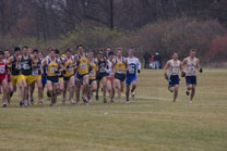 2008-11-15_11-46-14.jpg