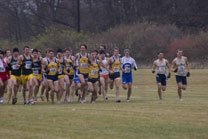 2008-11-15_11-46-15.jpg
