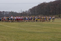 2008-11-15_11-46-18.jpg