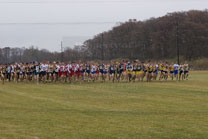 2008-11-15_11-46-20.jpg