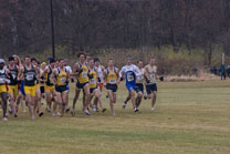 2008-11-15_11-46-21.jpg
