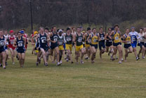 2008-11-15_11-46-23.jpg