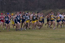 2008-11-15_11-46-24.jpg