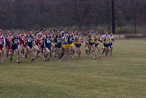 2008-11-15_11-46-25.jpg