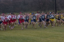 2008-11-15_11-46-26.jpg