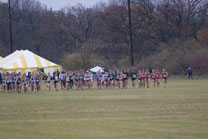 2008-11-15_11-02-00.jpg