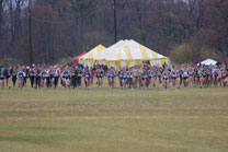2008-11-15_11-02-04.jpg