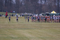 2008-11-15_11-02-08.jpg
