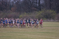 2008-11-15_11-02-19.jpg