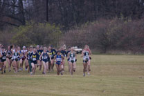 2008-11-15_11-02-23.jpg