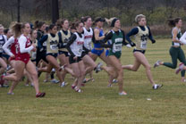 2008-11-15_11-02-42.jpg