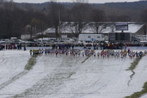 2008-11-22_12-00-30.jpg