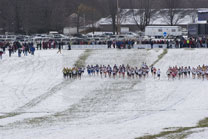 2008-11-22_12-00-35.jpg