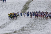 2008-11-22_12-00-39.jpg