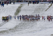 2008-11-22_12-00-41.jpg