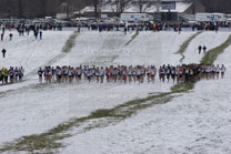 2008-11-22_12-00-50.jpg