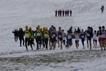2008-11-22_12-00-59.jpg