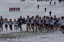 2008-11-22_12-01-00.jpg