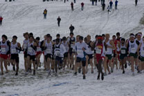 2008-11-22_12-01-01.jpg
