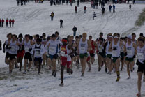 2008-11-22_12-01-02.jpg