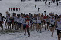 2008-11-22_12-01-03.jpg