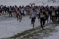 2008-11-22_12-01-04.jpg