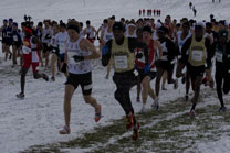2008-11-22_12-01-05.jpg