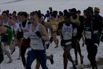 2008-11-22_12-01-08.jpg