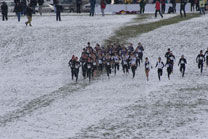 2008-11-22_13-15-16.jpg