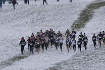 2008-11-22_13-15-23.jpg
