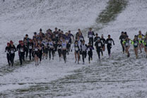 2008-11-22_13-15-26.jpg