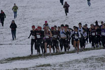 2008-11-22_13-15-36.jpg
