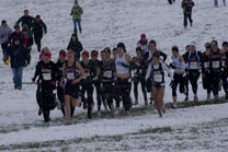 2008-11-22_13-15-38.jpg