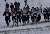 2008-11-22_13-15-40.jpg