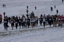 2008-11-22_13-15-42.jpg