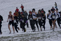 2008-11-22_13-15-43.jpg