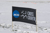 2008-11-22_11-08-58.jpg