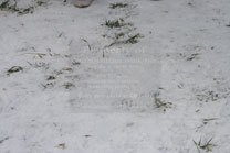 2008-11-22_11-45-32.jpg