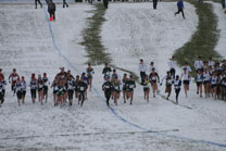 2008-11-22_13-15-44.jpg