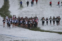 2008-11-22_13-15-48.jpg