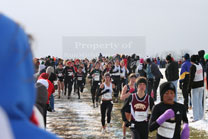 2008-11-22_13-22-29.jpg