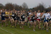 2008-11-08_12-02-21.jpg
