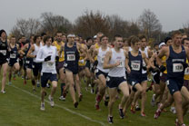 2008-11-08_12-02-23.jpg